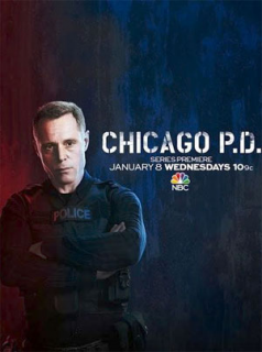 Chicago Police Department saison 8