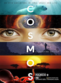 Cosmos : Une odyssée à travers l’univers