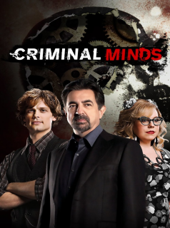 Esprits criminels saison 5