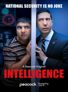 Intelligence saison 1