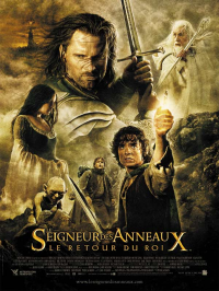 le seigneur des anneaux le retour du roi 8590 papadustreaming