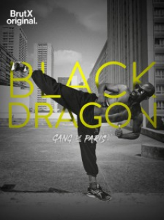 Gang de Paris : Black Dragon saison 1