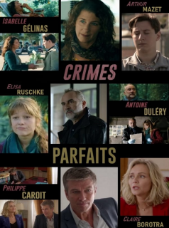 Crimes parfaits saison 2