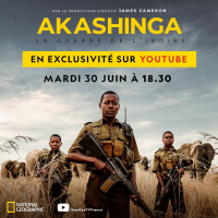 akashinga la guerre de l ivoire 6092 papadustreaming