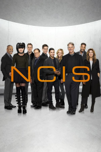 NCIS : Enquêtes spéciales saison 19