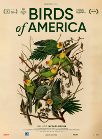 birds of america 4541 papadustreaming