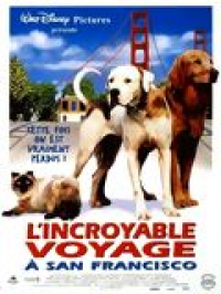 lincroyable voyage a san francisco 6521 papadustreaming