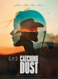 catching dust 3713 papadustreaming