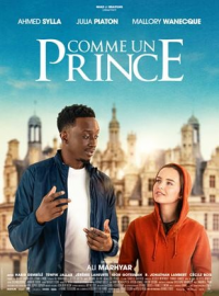 comme un prince 7536 papadustreaming