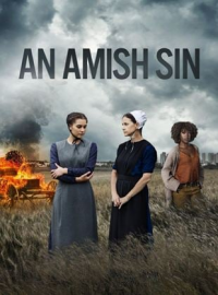 ma nouvelle vie loin des amish an amish sin 8356 papadustreaming